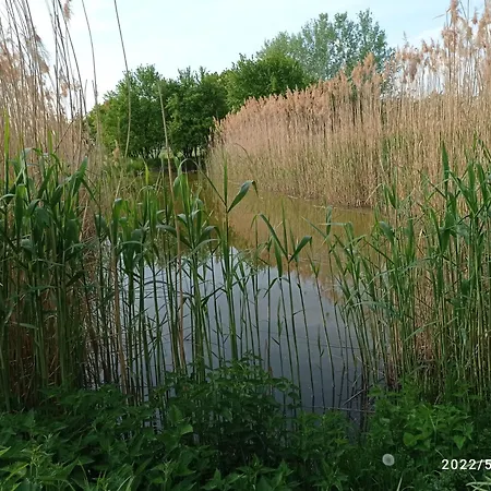 Kápolnás Báta-gemenc Pensión Báta