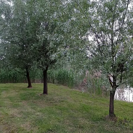 招待所 Kapolnas Vendeghaz Bata-gemenc Báta
