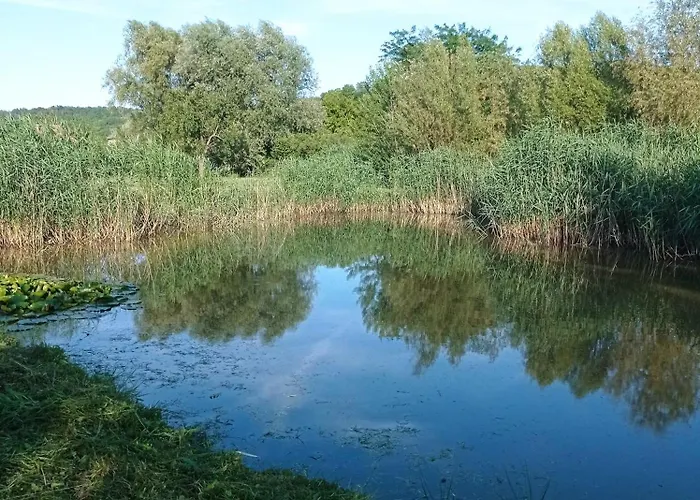 Kápolnás Báta-gemenc Casa de hóspedes