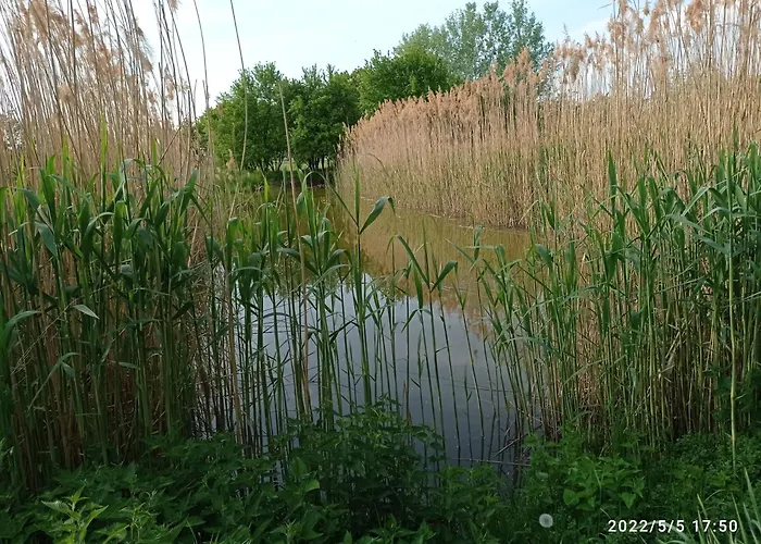 Kapolnas Vendeghaz Bata-gemenc Gasthuis Báta